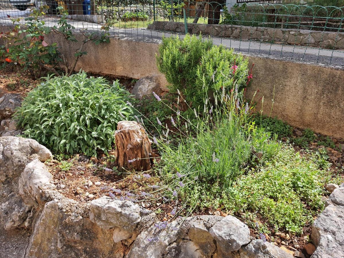 Apartments Vesna Avsec - Krk Town Luaran gambar